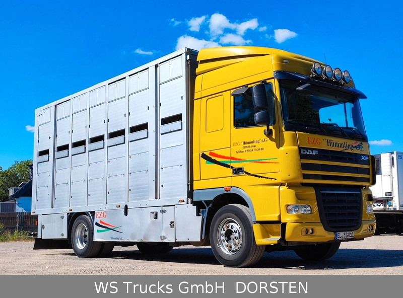 DAF XF410 Menke Doppelstock - Autocarro trasporto bestiame: foto 3 DAF XF410 Menke Doppelstock - Autocarro trasporto bestiame: foto 3