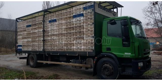 Iveco Eurocargo 180E28 - Autocarro trasporto bestiame: foto 2 Iveco Eurocargo 180E28 - Autocarro trasporto bestiame: foto 2