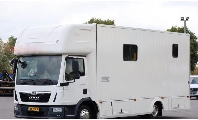MAN TGL 8.190 - - Van trasporto cavalli: foto 1 MAN TGL 8.190 - - Van trasporto cavalli: foto 1