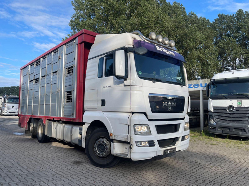 MAN TGX 26.400 6x2-2 LL 3 Stück Finkl Hubdach - Autocarro trasporto bestiame: foto 5 MAN TGX 26.400 6x2-2 LL 3 Stück Finkl Hubdach - Autocarro trasporto bestiame: foto 5