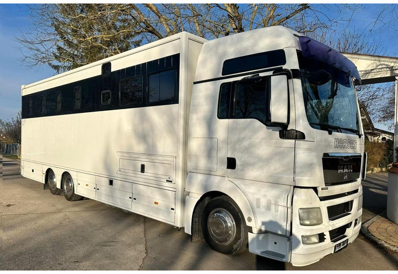 MAN TGX 26.440 - Horse transporter - Van trasporto cavalli: foto 2 MAN TGX 26.440 - Horse transporter - Van trasporto cavalli: foto 2
