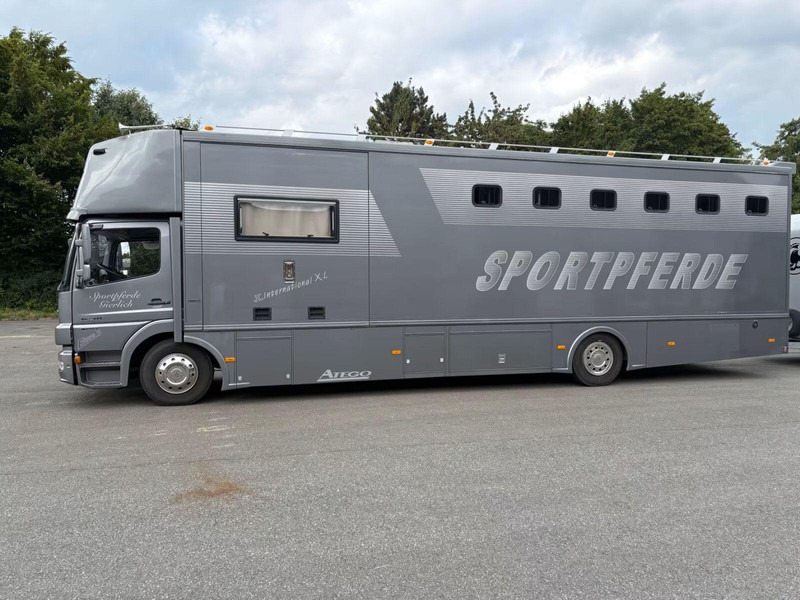 Mercedes-Benz Atego 1529 - Horse transporter - Van trasporto cavalli: foto 4 Mercedes-Benz Atego 1529 - Horse transporter - Van trasporto cavalli: foto 4