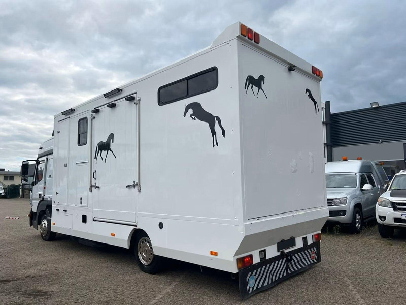 Mercedes-Benz Atego 823 - Horse transporter - Van trasporto cavalli: foto 4 Mercedes-Benz Atego 823 - Horse transporter - Van trasporto cavalli: foto 4
