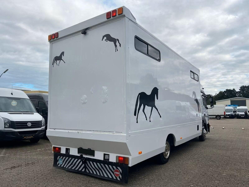 Mercedes-Benz Atego 823 - Horse transporter - Van trasporto cavalli: foto 3 Mercedes-Benz Atego 823 - Horse transporter - Van trasporto cavalli: foto 3
