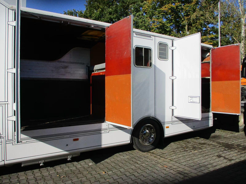 Mercedes-Benz Axor 1833 - Horse transporter - Van trasporto cavalli: foto 5 Mercedes-Benz Axor 1833 - Horse transporter - Van trasporto cavalli: foto 5