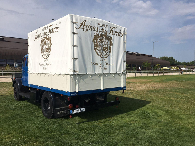 Mercedes-Benz LAF-311 - Autocarro furgonato: foto 2 Mercedes-Benz LAF-311 - Autocarro furgonato: foto 2