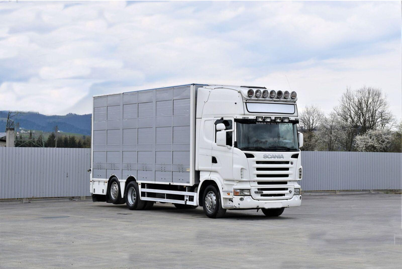 Scania R 500 - Autocarro trasporto bestiame: foto 2 Scania R 500 - Autocarro trasporto bestiame: foto 2