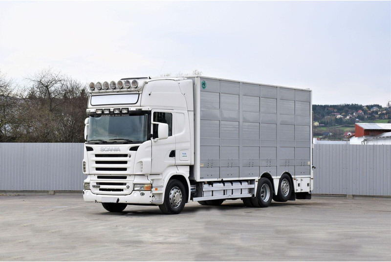 Scania R 500 - Autocarro trasporto bestiame: foto 1 Scania R 500 - Autocarro trasporto bestiame: foto 1