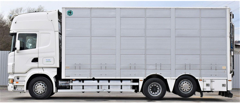 Scania R 500 - Autocarro trasporto bestiame: foto 3 Scania R 500 - Autocarro trasporto bestiame: foto 3
