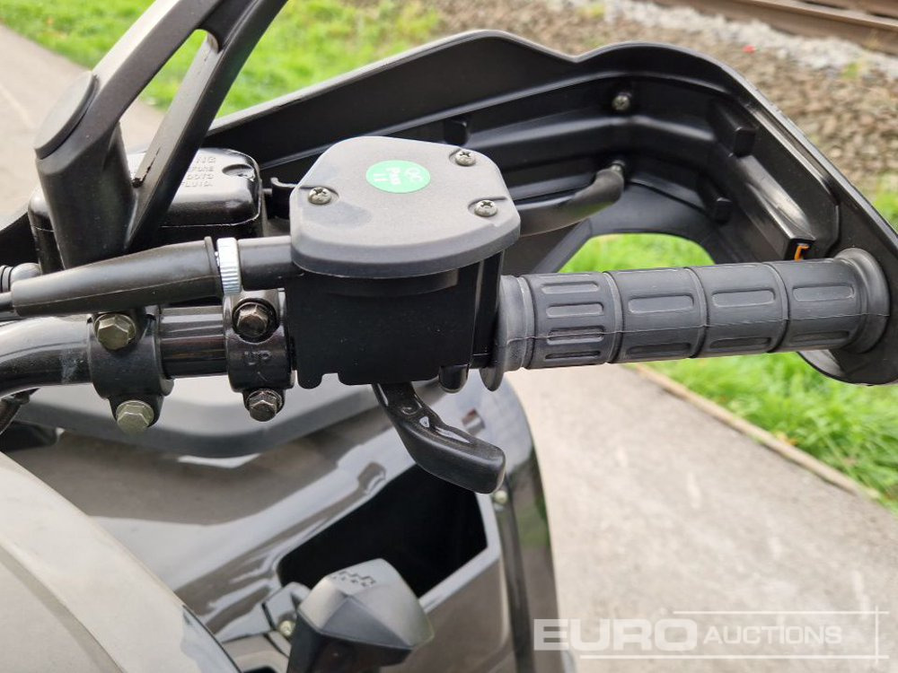 Quad Unused TAO Motors TGA300F: foto 24