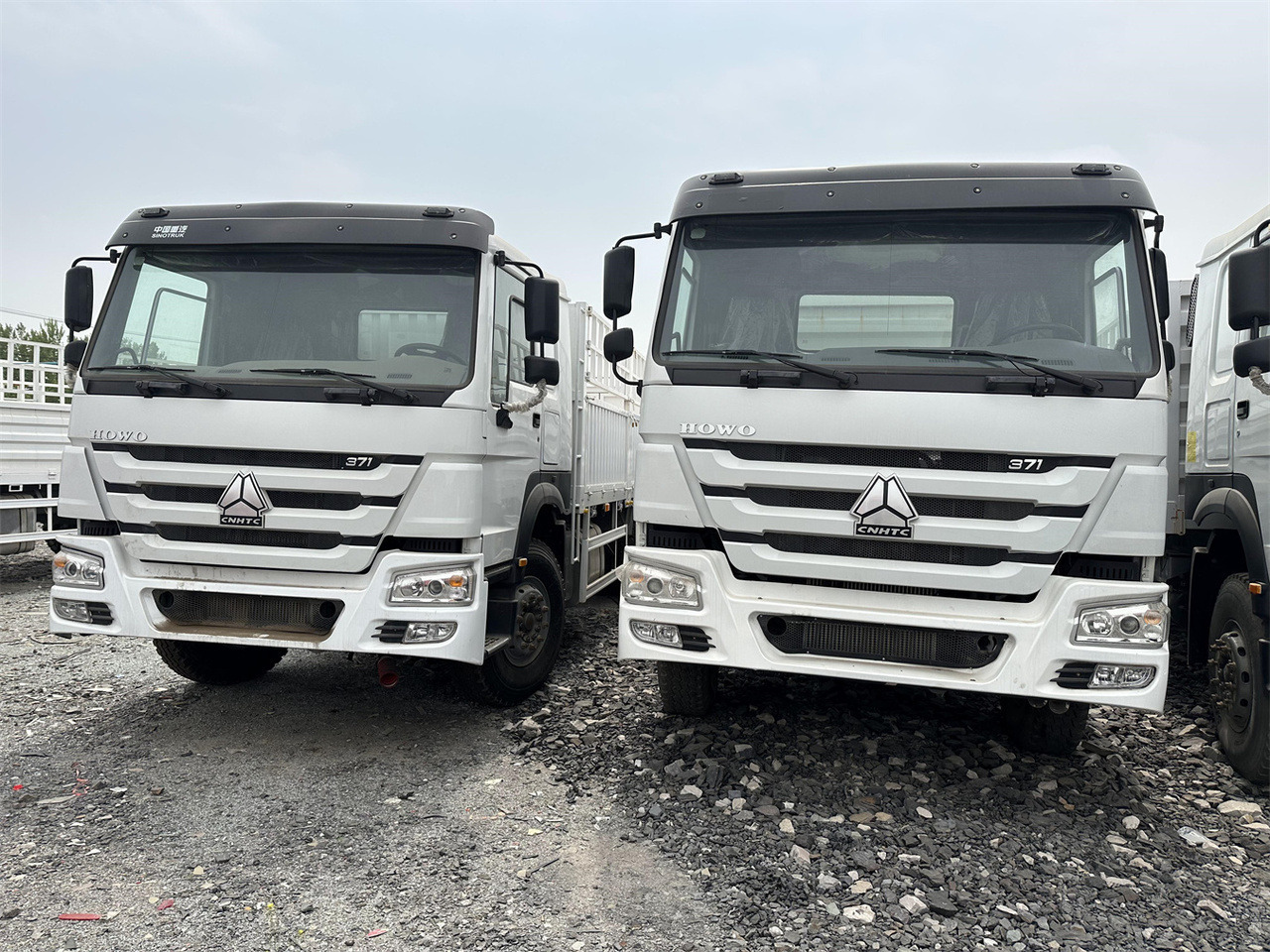 SINOTRUK HOWO 371 Cargo truck - Autocarro trasporto bestiame: foto 1 SINOTRUK HOWO 371 Cargo truck - Autocarro trasporto bestiame: foto 1