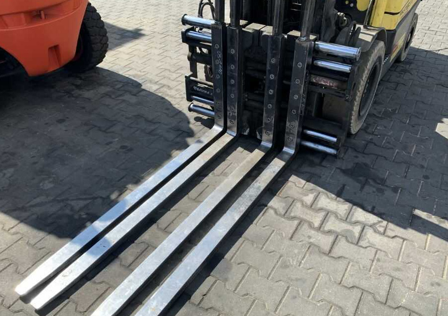 Bolzoni DS13FS - Forche: foto 1 Bolzoni DS13FS - Forche: foto 1