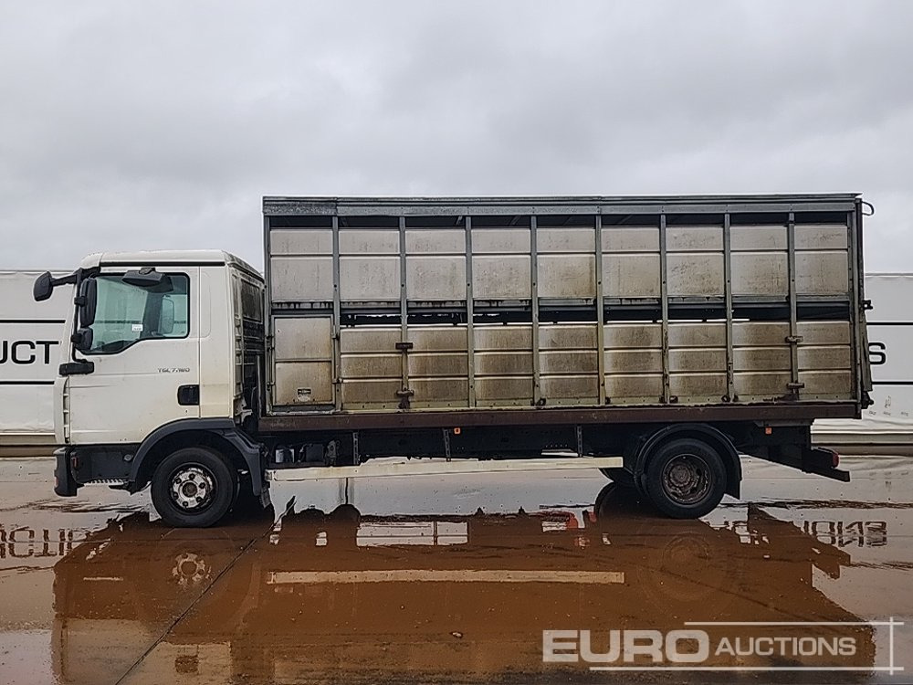 2008 MAN TGL7.180 - Autocarro trasporto bestiame: foto 2 2008 MAN TGL7.180 - Autocarro trasporto bestiame: foto 2