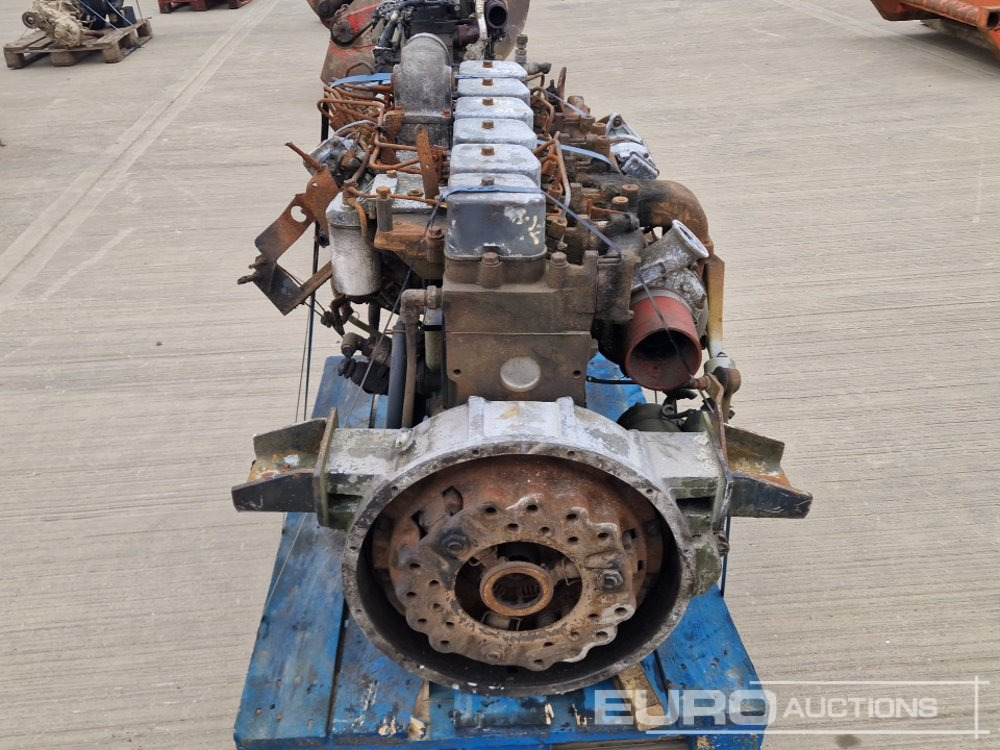 6 Cylinder Engine - Motore: foto 4 6 Cylinder Engine - Motore: foto 4