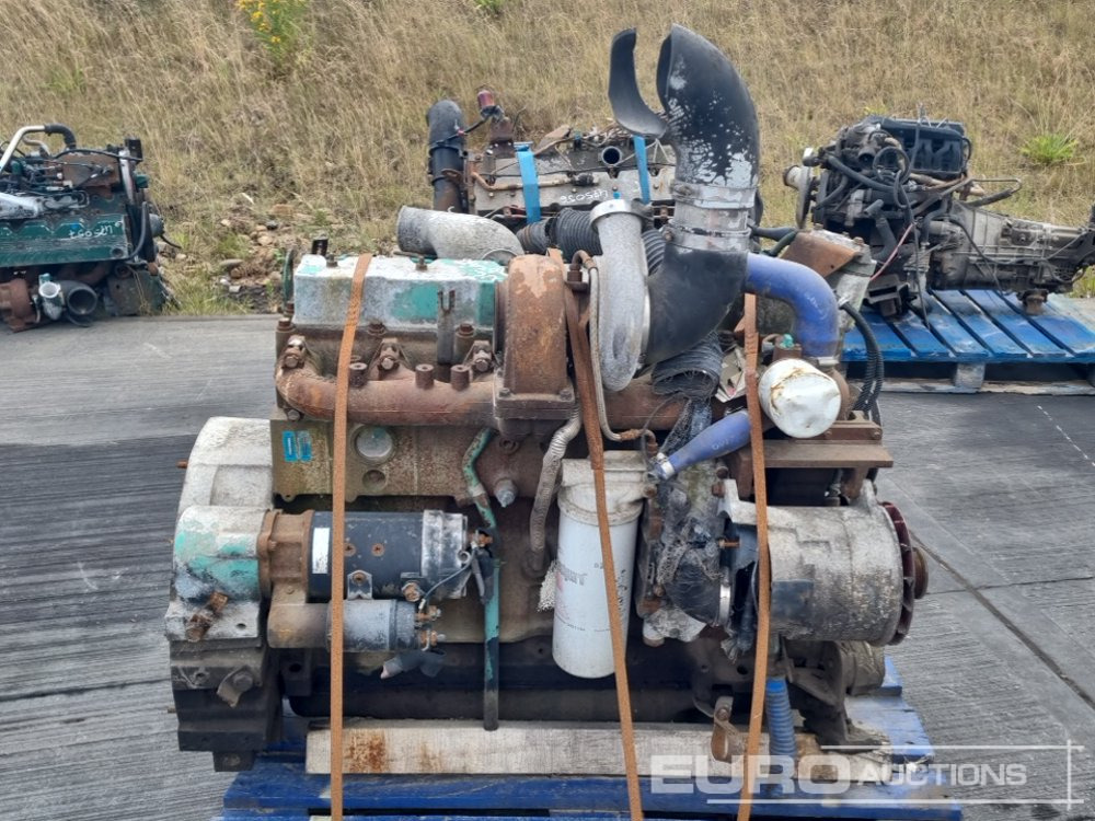 Cummins 6 Cylinder Engine - Motore: foto 2 Cummins 6 Cylinder Engine - Motore: foto 2