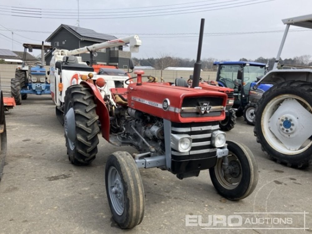 Massey Ferguson 135 - Trattore: foto 2 Massey Ferguson 135 - Trattore: foto 2