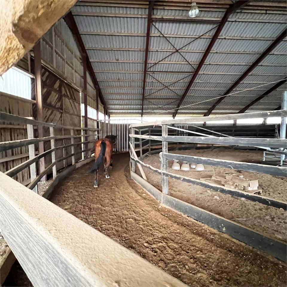 ABC Molenkoning Horse Walker - 20 meter - Se Video! - Macchina per l'allevamento: foto 3 ABC Molenkoning Horse Walker - 20 meter - Se Video! - Macchina per l'allevamento: foto 3