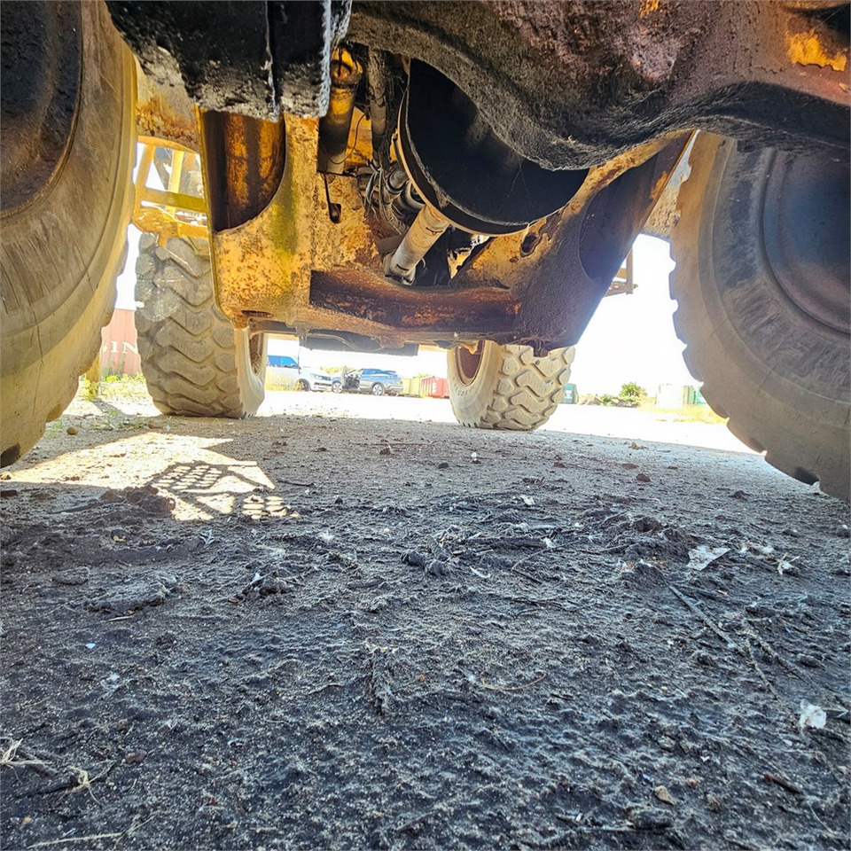 Pala gommata Hanomag 44D Turbo: foto 36