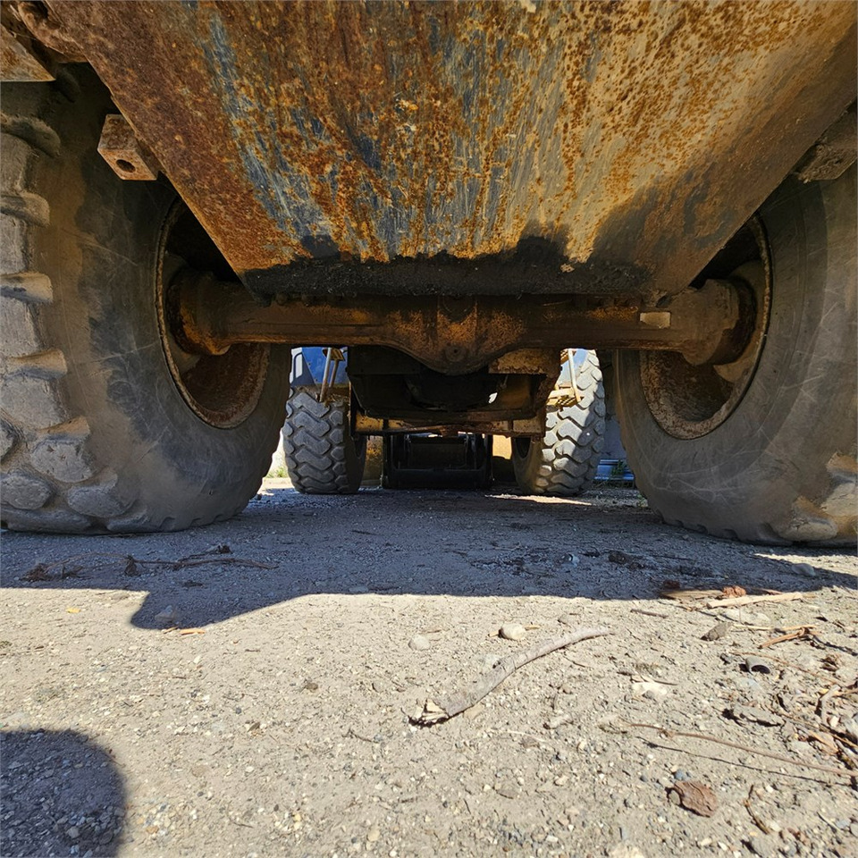 Pala gommata Hanomag 44D Turbo: foto 35