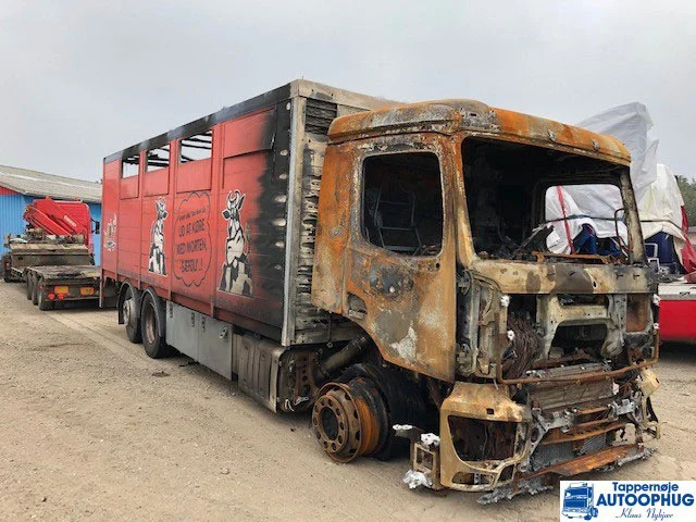 Mercedes-Benz R485-13A/C22.5 – 2.929 P/N: 748595 - Differenziale per Camion: foto 1 Mercedes-Benz R485-13A/C22.5 – 2.929 P/N: 748595 - Differenziale per Camion: foto 1