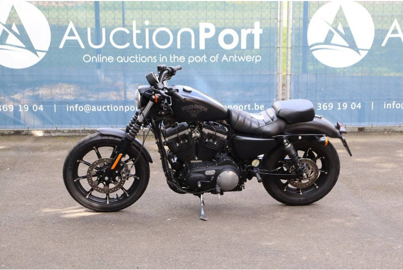 Harley-Davidson Sportster XL 883 Iron - Motocicletta: foto 1 Harley-Davidson Sportster XL 883 Iron - Motocicletta: foto 1