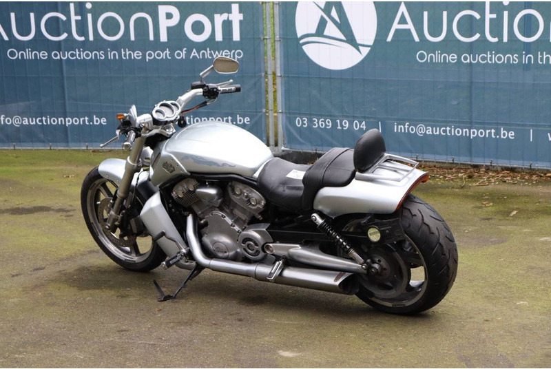 Harley-Davidson V-Rod Muscle - Motocicletta: foto 3 Harley-Davidson V-Rod Muscle - Motocicletta: foto 3