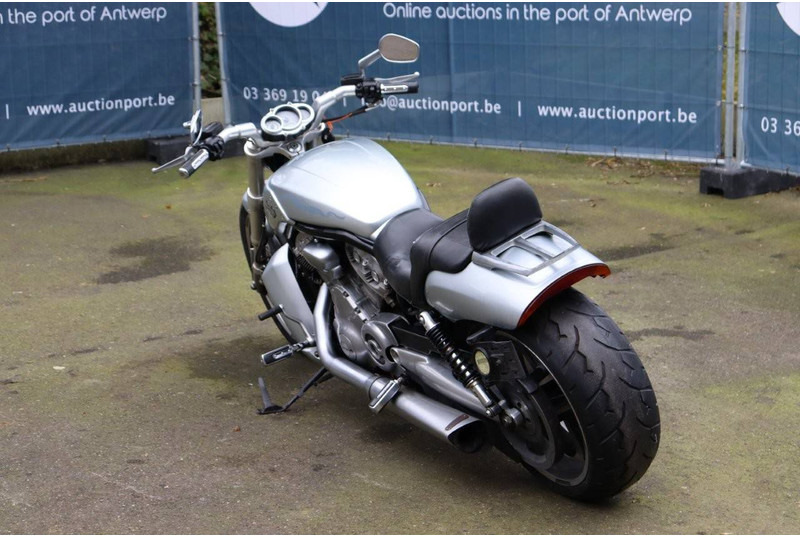 Harley-Davidson V-Rod Muscle - Motocicletta: foto 4 Harley-Davidson V-Rod Muscle - Motocicletta: foto 4