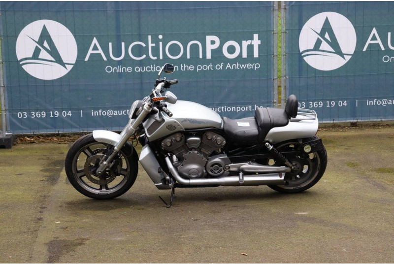 Harley-Davidson V-Rod Muscle - Motocicletta: foto 1 Harley-Davidson V-Rod Muscle - Motocicletta: foto 1