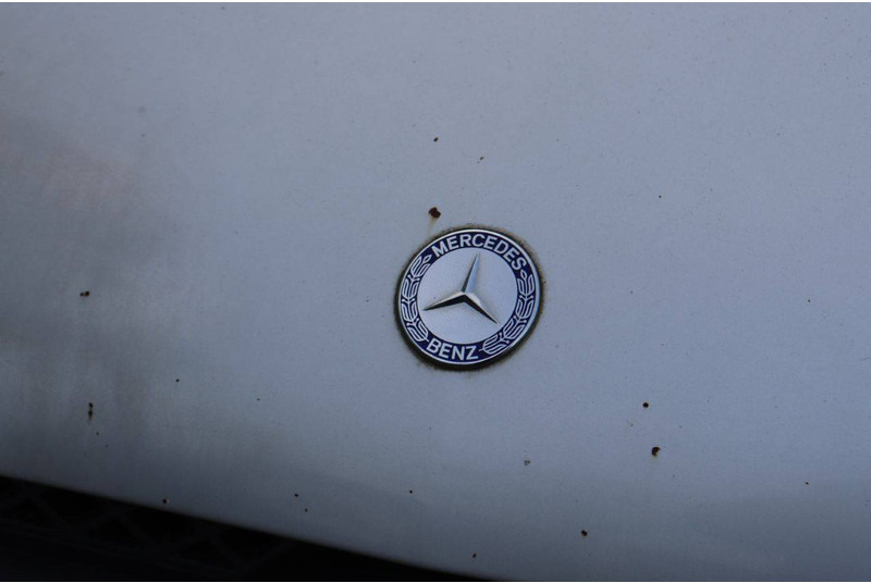 Furgone chiuso Mercedes-Benz Sprinter: foto 12