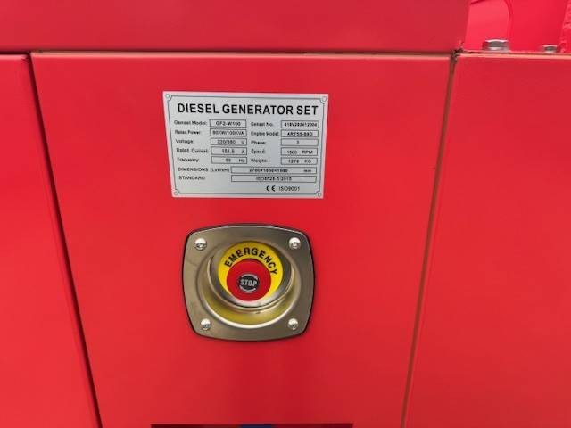 Gruppo elettrogeno nuovo Ricardo GF2-W100: foto 13