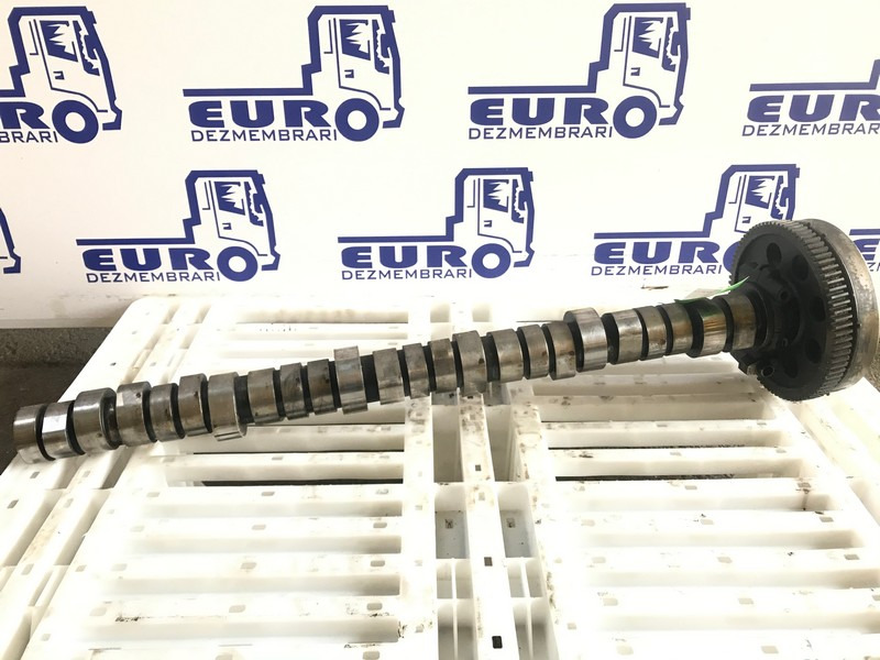 AX CU CAME RENAULT DXI 11 20746807 - Albero a camme per Camion: foto 1 AX CU CAME RENAULT DXI 11 20746807 - Albero a camme per Camion: foto 1