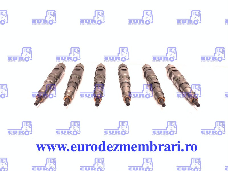 SET INJECTOARE MAN D20 51.10100.6064, 51.10100.6126 - Iniettore per Camion: foto 1 SET INJECTOARE MAN D20 51.10100.6064, 51.10100.6126 - Iniettore per Camion: foto 1