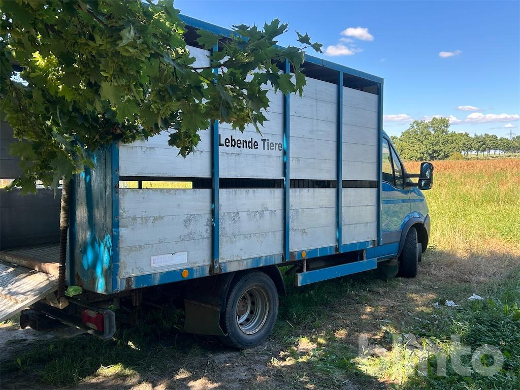 C65C IVECO (2009) - Autocarro trasporto bestiame, Furgone: foto 3 C65C IVECO (2009) - Autocarro trasporto bestiame, Furgone: foto 3