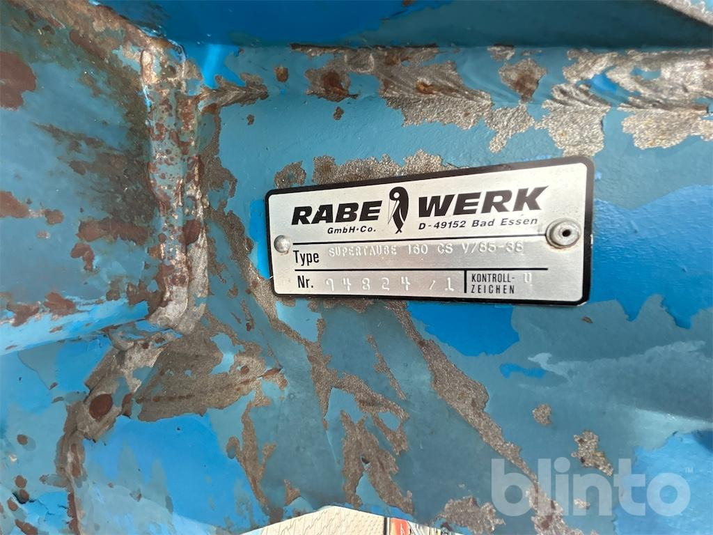 Rabe Supertaube - Aratro: foto 5 Rabe Supertaube - Aratro: foto 5