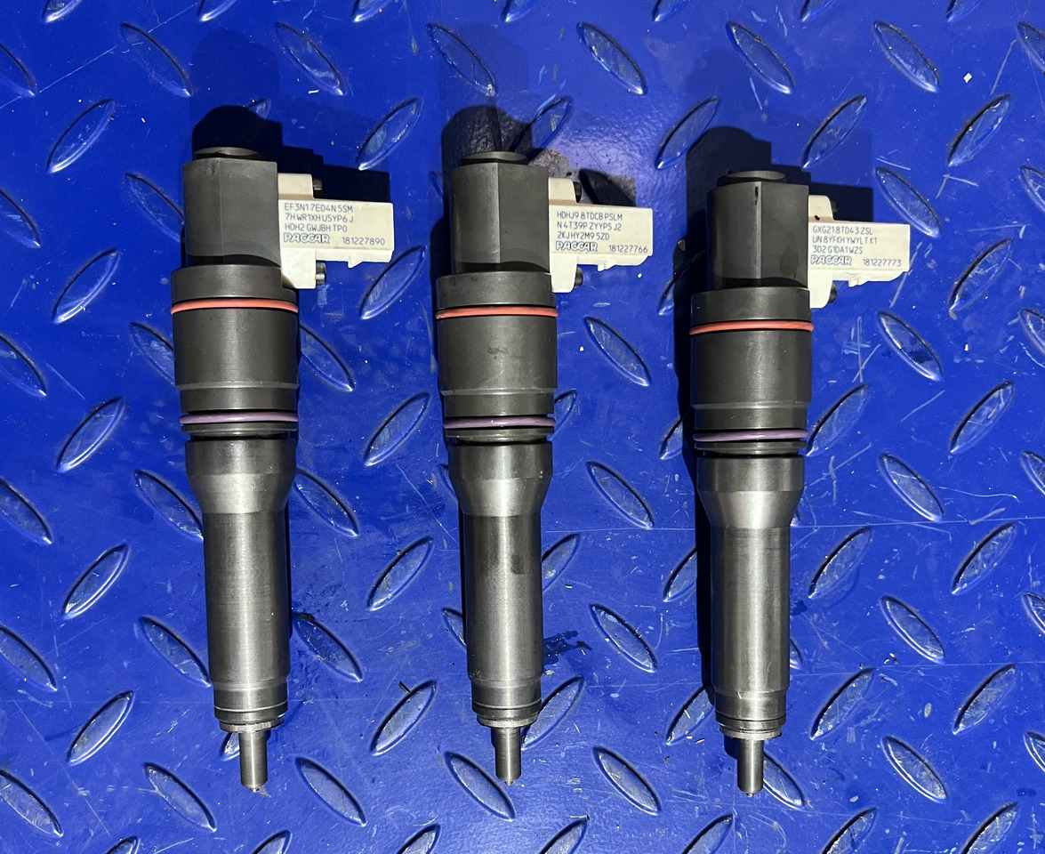 DELPHI 2005596 - Iniettore: foto 2 DELPHI 2005596 - Iniettore: foto 2